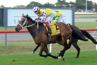 Sacred Master (NZ) claims the XXXX Gold Newcastle Cup. Photo Credit: Equine Images.